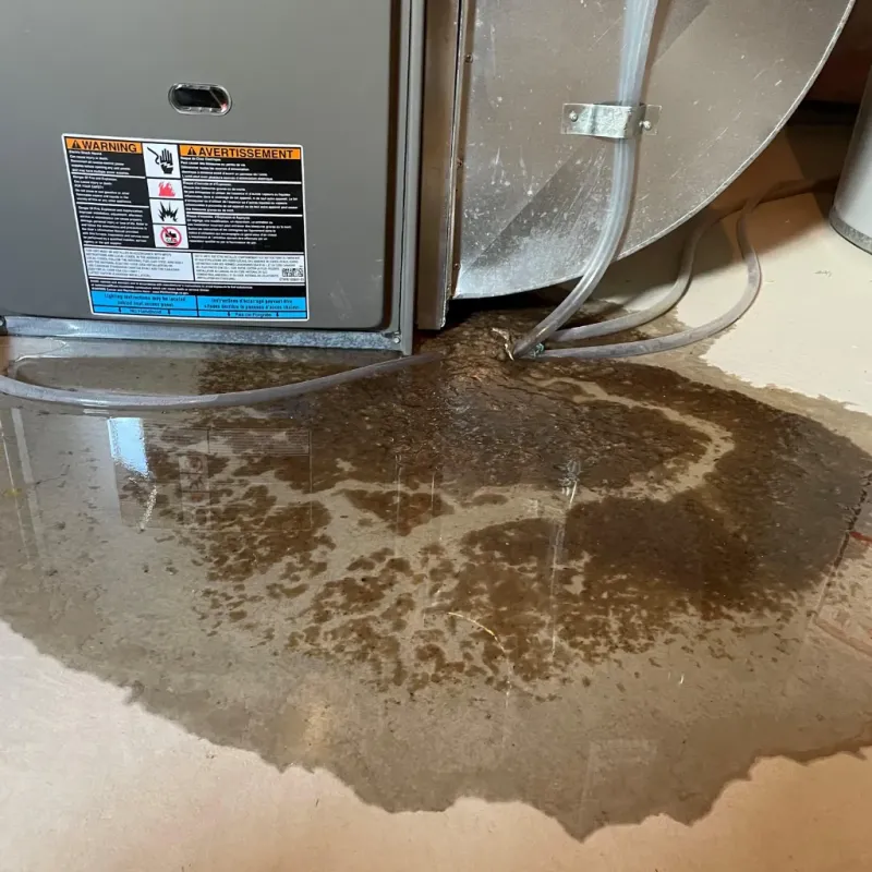 Appliance Leak Cleanup in Mound City, MO