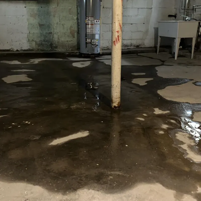 Emergency Water Extraction And Removal in Mound City, MO